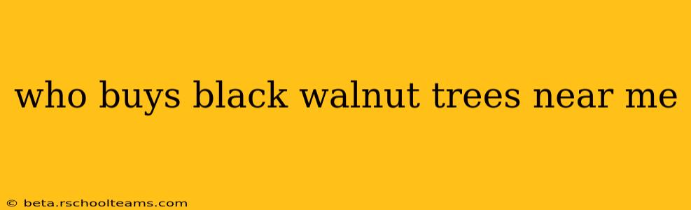 who buys black walnut trees near me