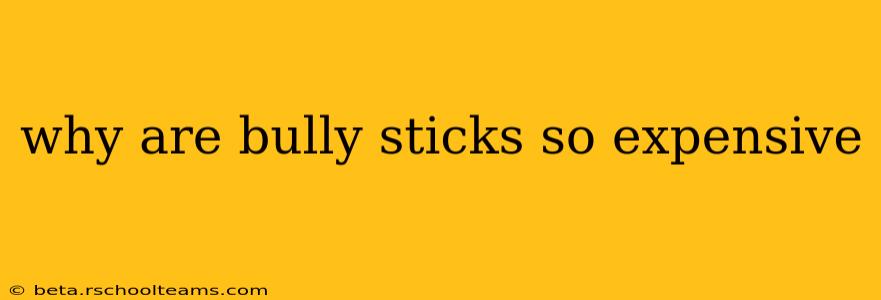 why are bully sticks so expensive