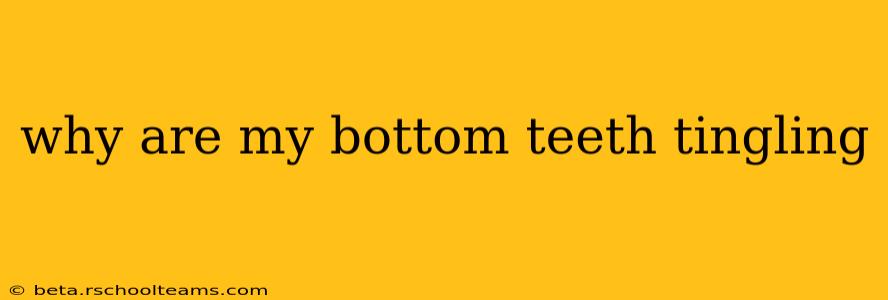 why are my bottom teeth tingling