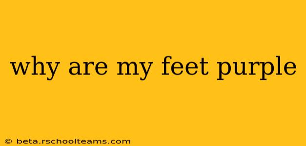 why are my feet purple