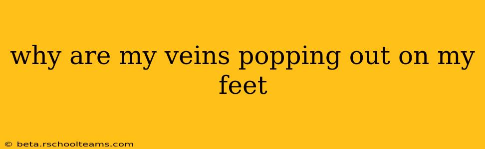 why are my veins popping out on my feet