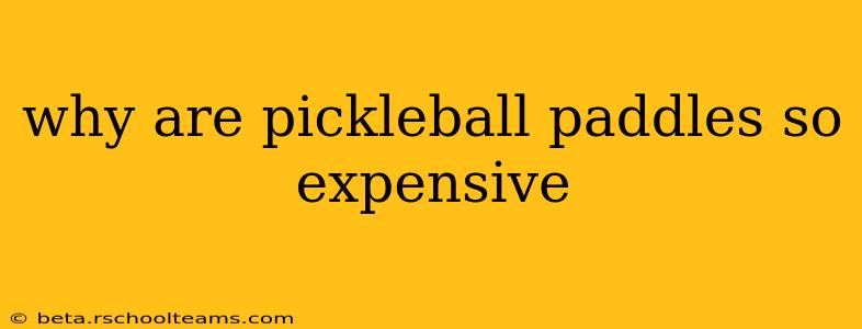 why are pickleball paddles so expensive