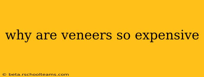 why are veneers so expensive