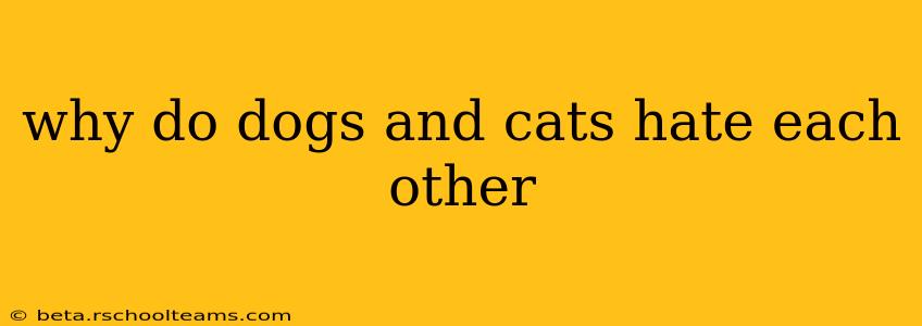 why do dogs and cats hate each other