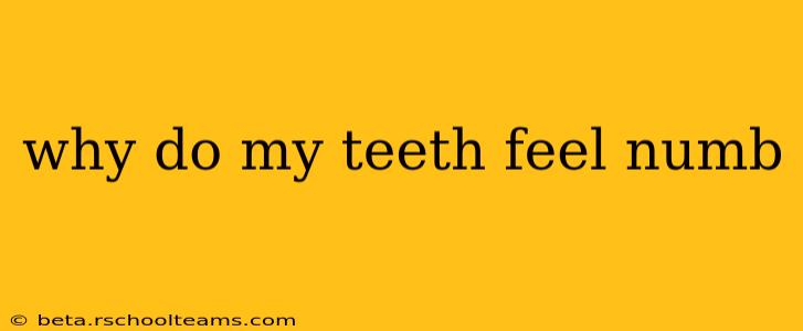 why do my teeth feel numb