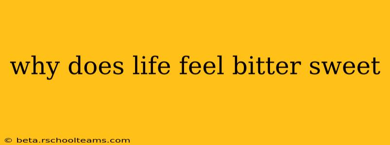 why does life feel bitter sweet