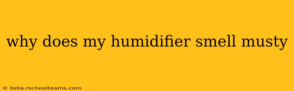 why does my humidifier smell musty