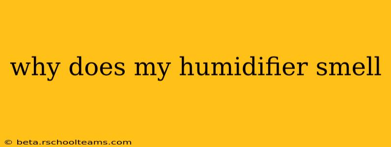 why does my humidifier smell