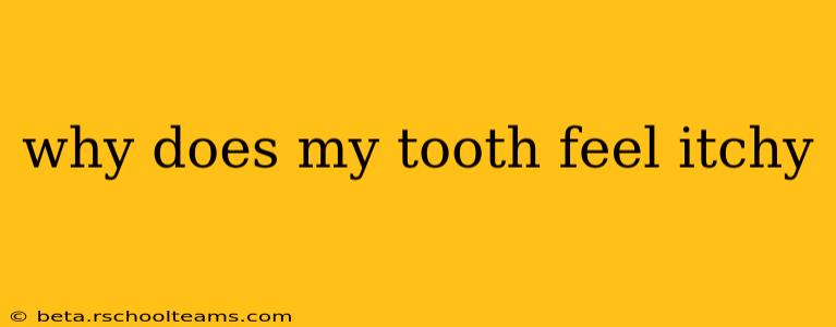 why does my tooth feel itchy