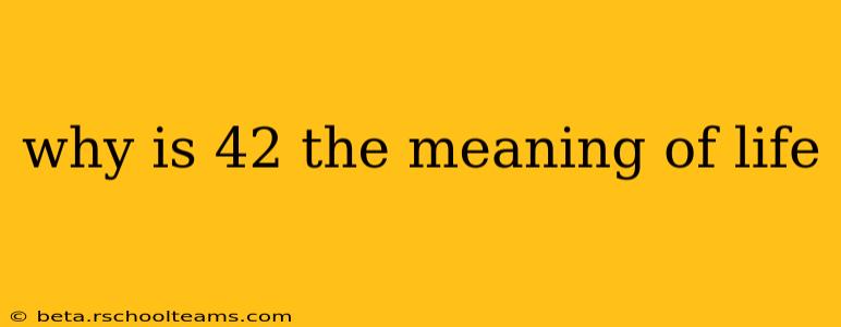 why is 42 the meaning of life
