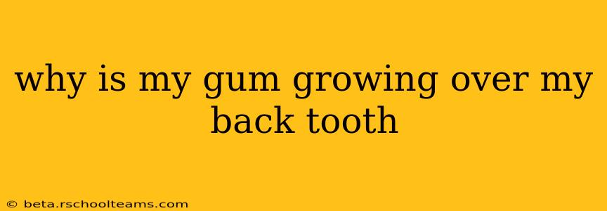 why is my gum growing over my back tooth