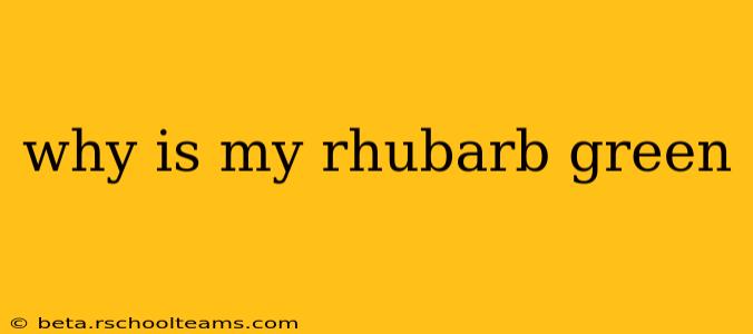 why is my rhubarb green
