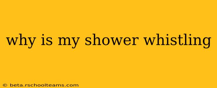 why is my shower whistling
