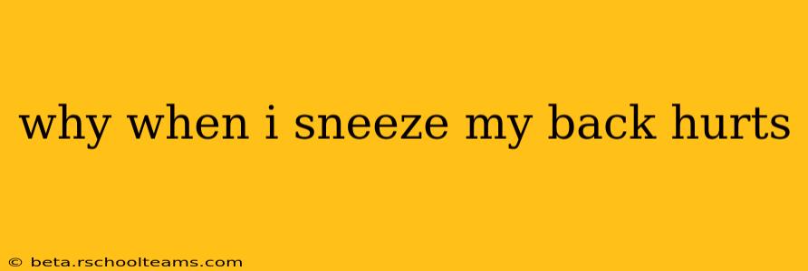 why when i sneeze my back hurts