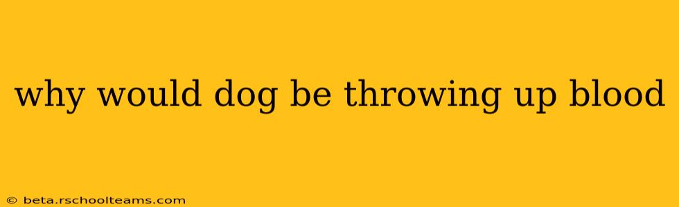 why would dog be throwing up blood