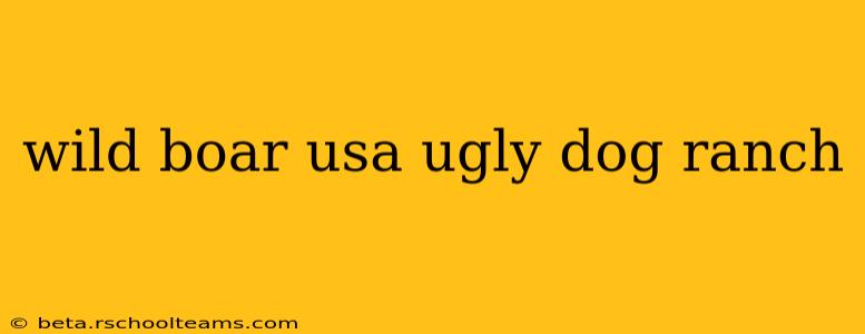 wild boar usa ugly dog ranch