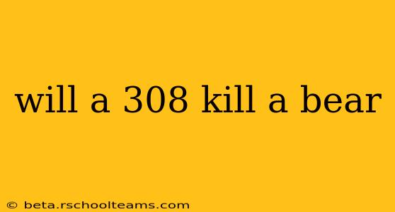 will a 308 kill a bear