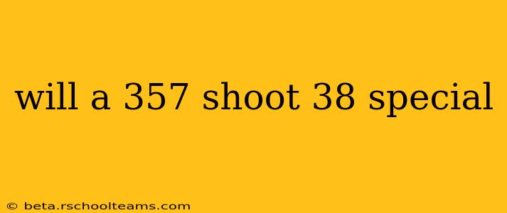 will a 357 shoot 38 special