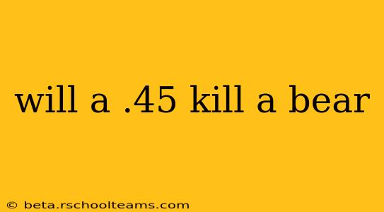 will a .45 kill a bear