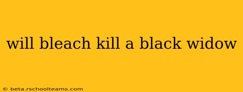 will bleach kill a black widow