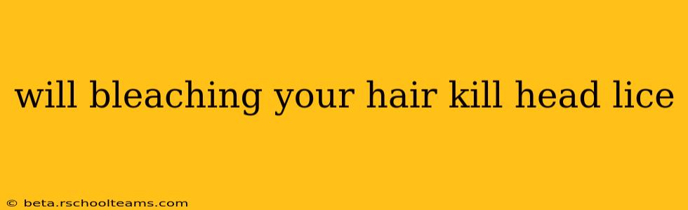 will bleaching your hair kill head lice