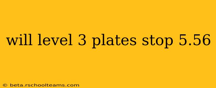 will level 3 plates stop 5.56