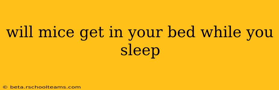 will mice get in your bed while you sleep