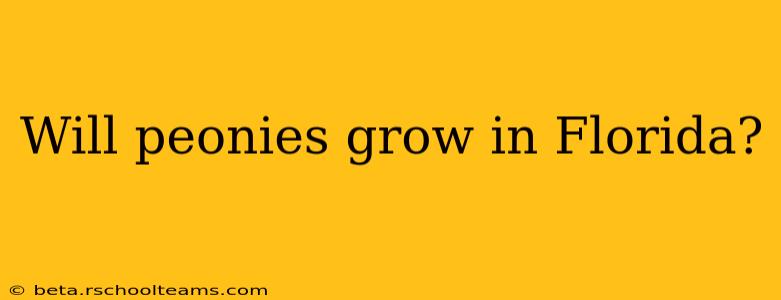 Will peonies grow in Florida?