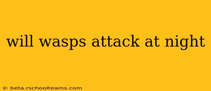 will wasps attack at night