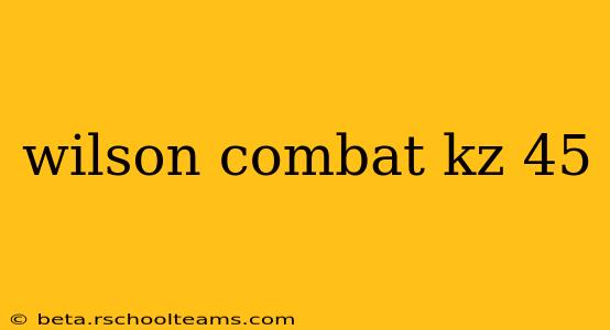wilson combat kz 45
