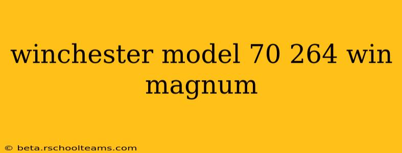 winchester model 70 264 win magnum