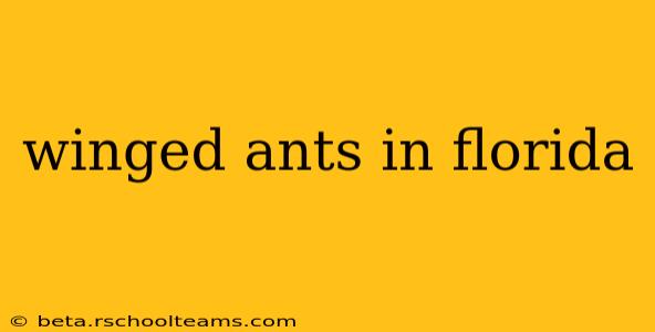 winged ants in florida