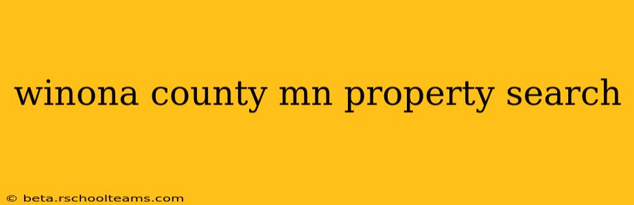 winona county mn property search