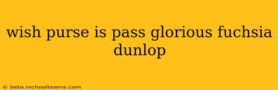 wish purse is pass glorious fuchsia dunlop