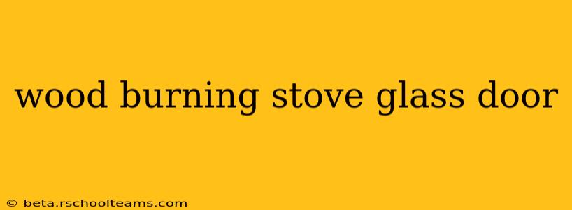 wood burning stove glass door