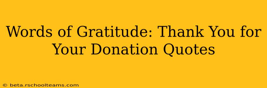 Words of Gratitude: Thank You for Your Donation Quotes