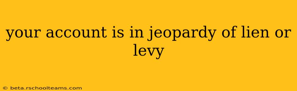 your account is in jeopardy of lien or levy
