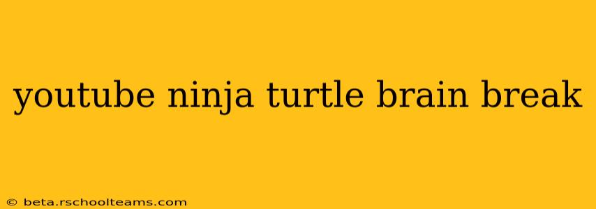youtube ninja turtle brain break